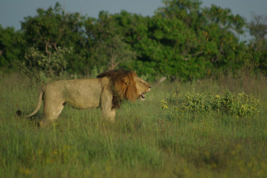 south africa lodge