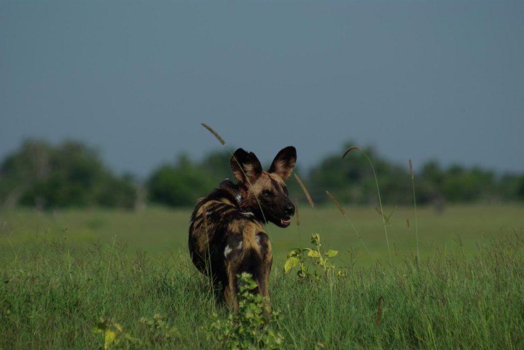 best time to safari in south africa