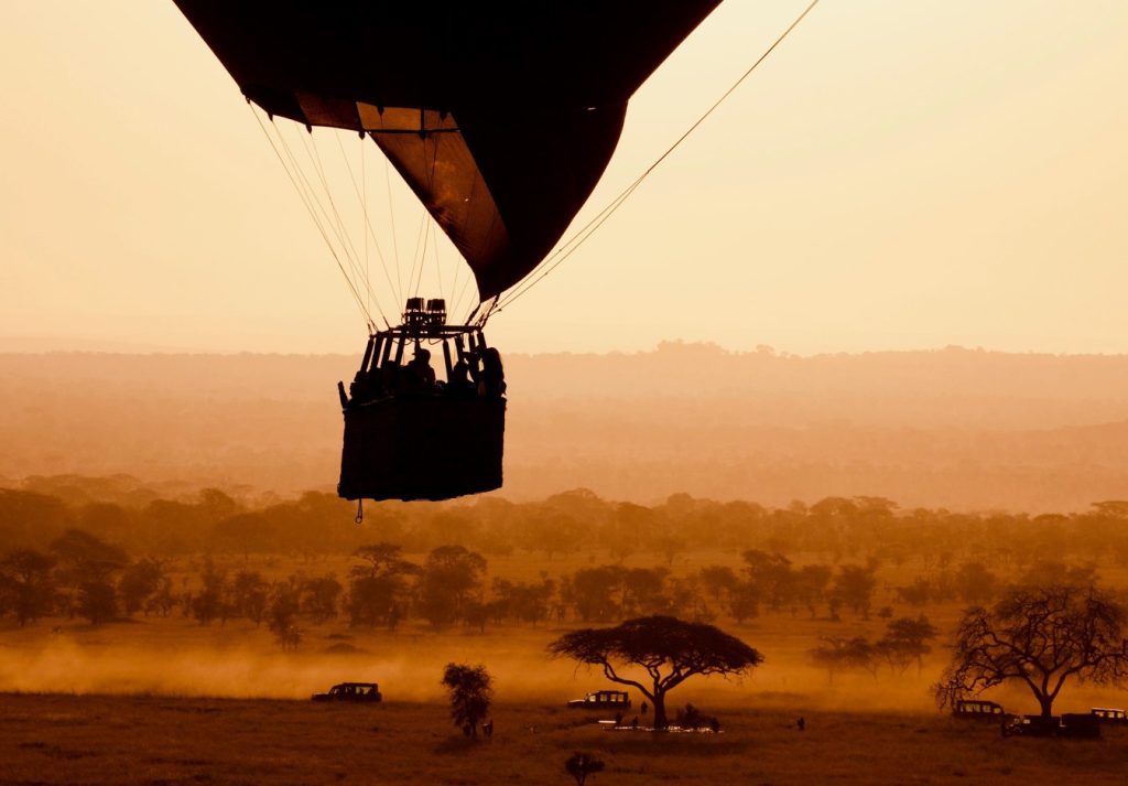 10 reasons to stay in our luxury safari lodge in South Africa