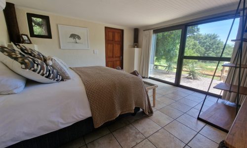 10 reasons to stay in our luxury safari lodge in South Africa